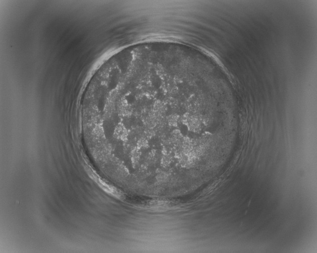 X0000078841371200612041828