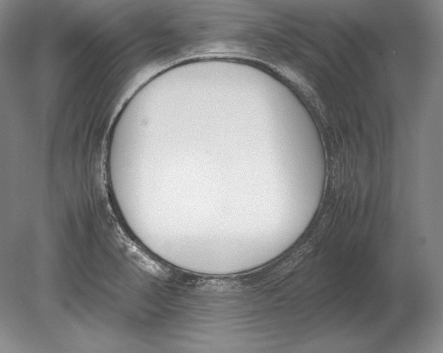 X0000078841374200612041828