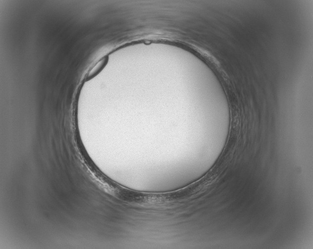 X0000078841375200612041828