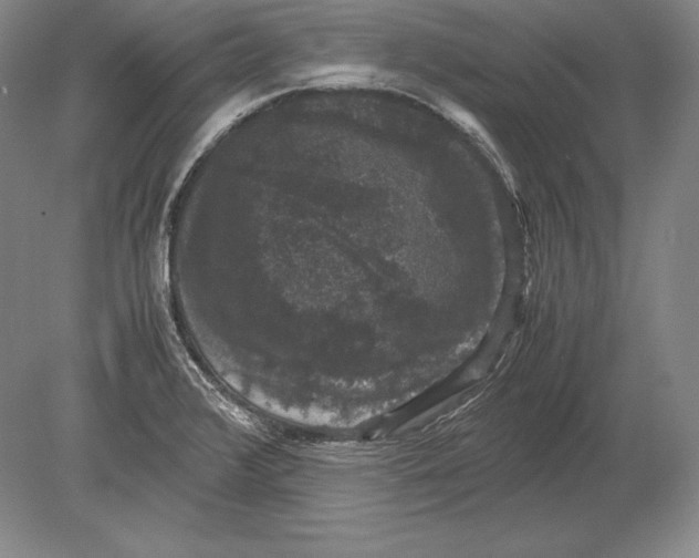 X0000078841376200612041828