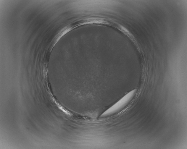 X0000078841377200612041828