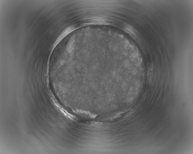 X0000078841378200612041828