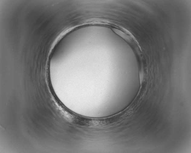 X0000078841379200612041828