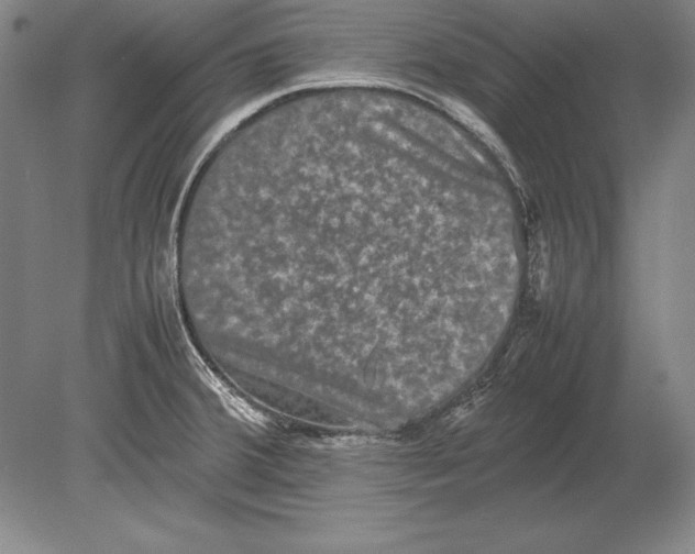 X0000078841380200612041828