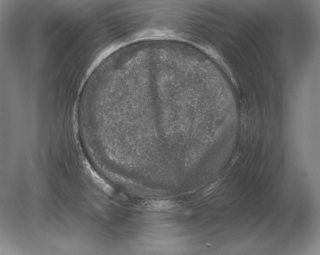 X0000078841382200612041828