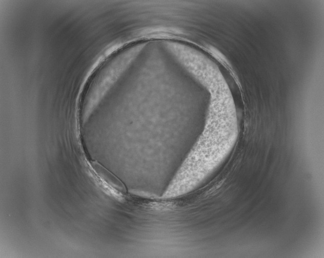 X0000078841384200612041828