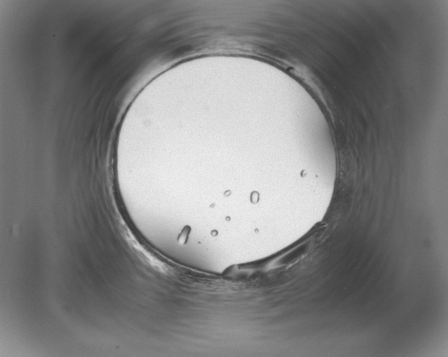 X0000078841387200612041828