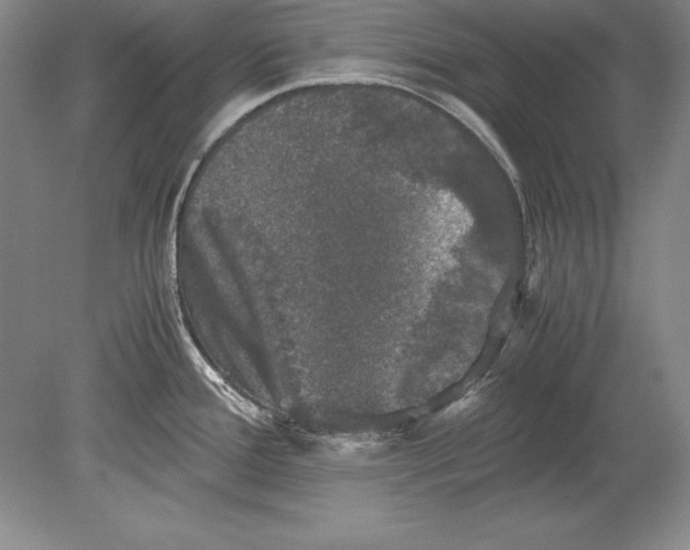 X0000078841388200612041828