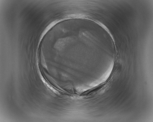 X0000078841389200612041828