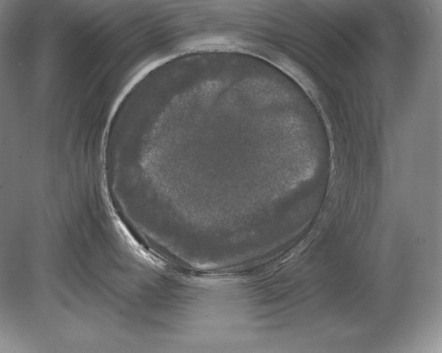 X0000078841392200612041828