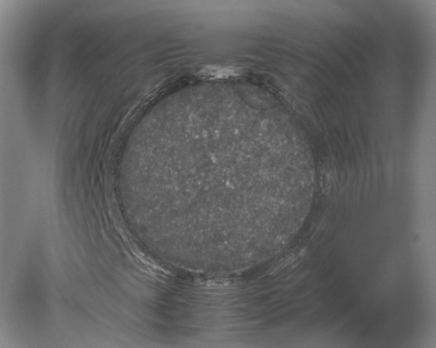 X0000078841393200612041827