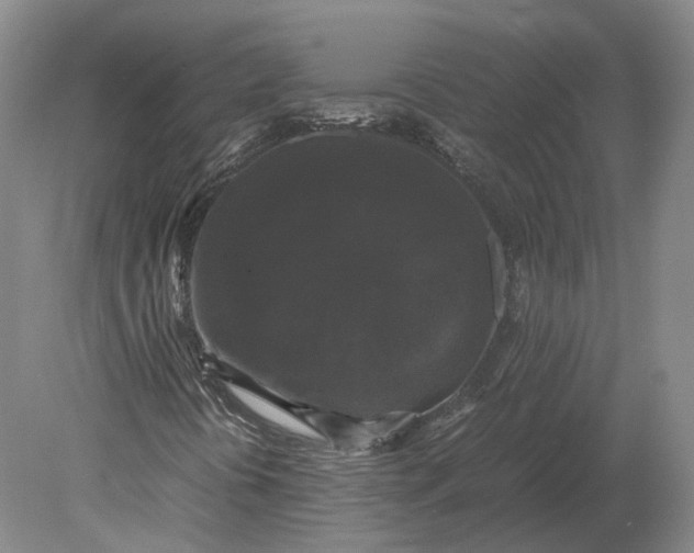 X0000078841394200612041827