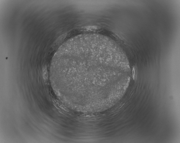 X0000078841395200612041827