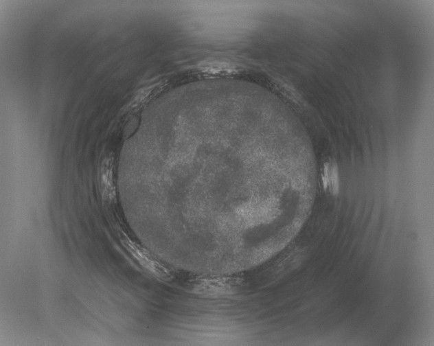 X0000078841396200612041827