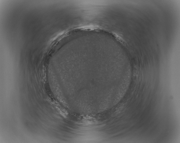 X0000078841398200612041827