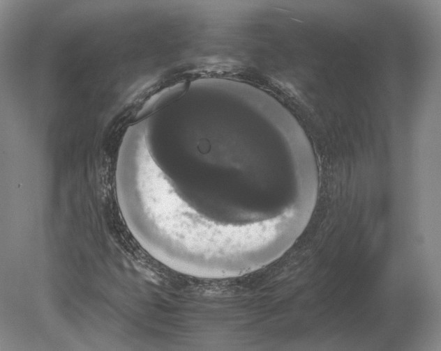 X0000078841399200612041827