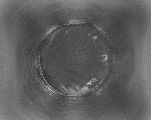 X0000078841401200612041827