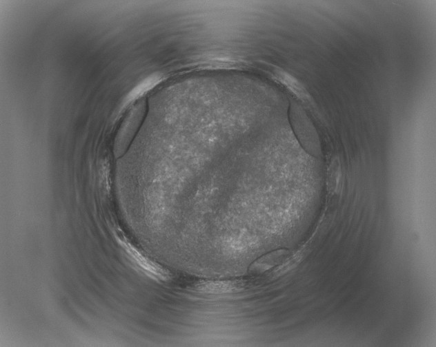 X0000078841402200612041827