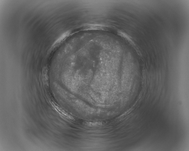 X0000078841403200612041827