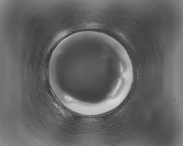 X0000078841405200612041827