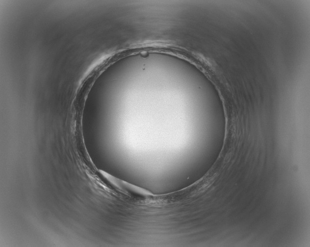 X0000078841406200612041827