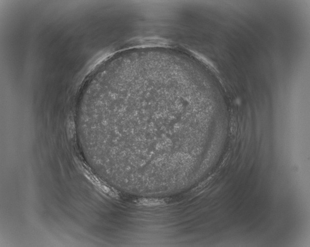 X0000078841407200612041827