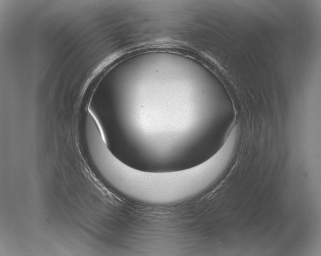 X0000078841410200612041827