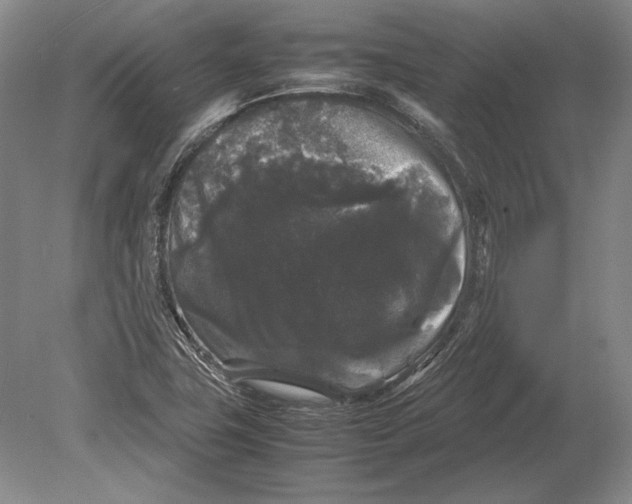 X0000078841411200612041827