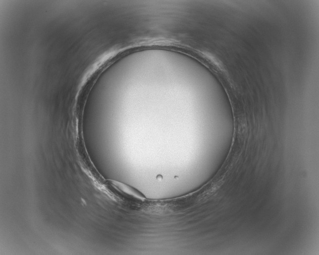 X0000078841414200612041827