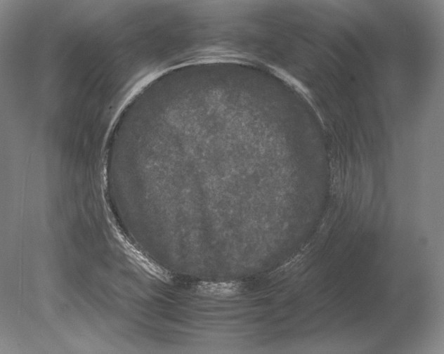 X0000078841415200612041827