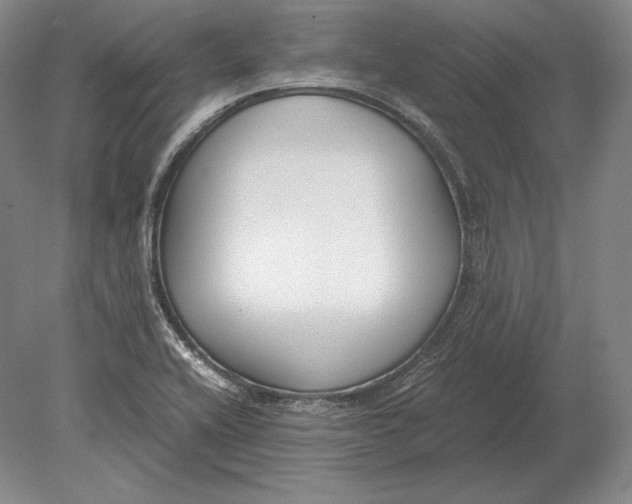 X0000078841416200612041827