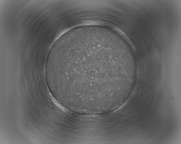 X0000078841417200612041827