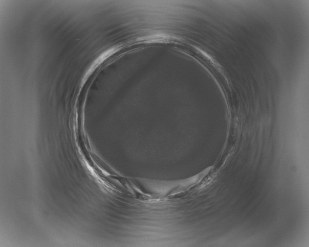 X0000078841418200612041827