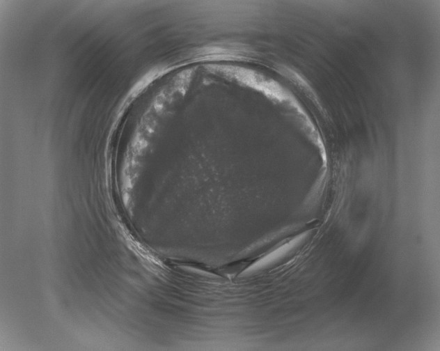 X0000078841419200612041827