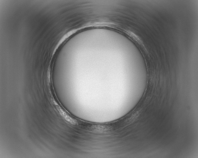 X0000078841420200612041827