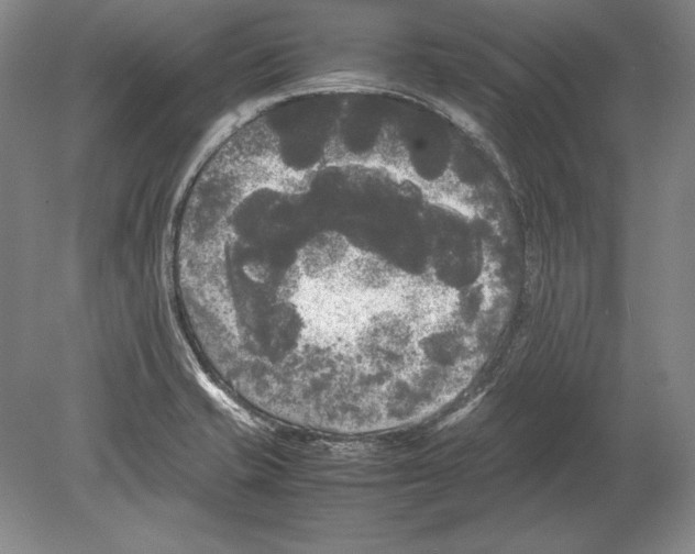 X0000078841421200612041827