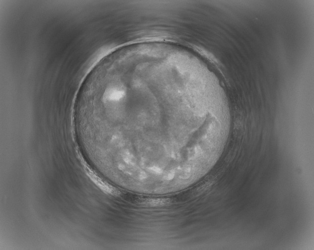 X0000078841423200612041827