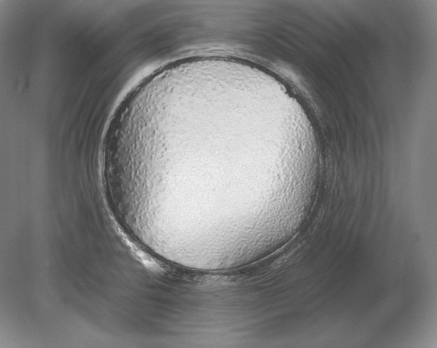 X0000078841424200612041828