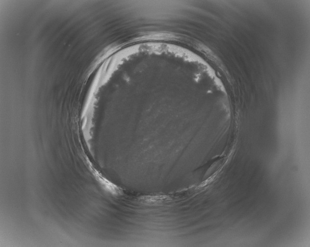 X0000078841425200612041828