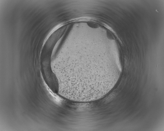 X0000078841426200612041828