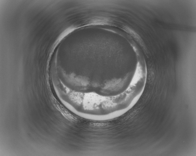 X0000078841427200612041828