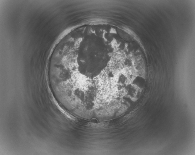 X0000078841429200612041828