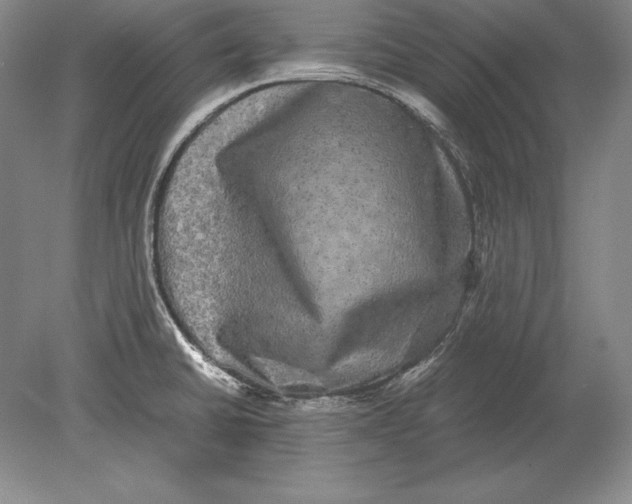 X0000078841430200612041828