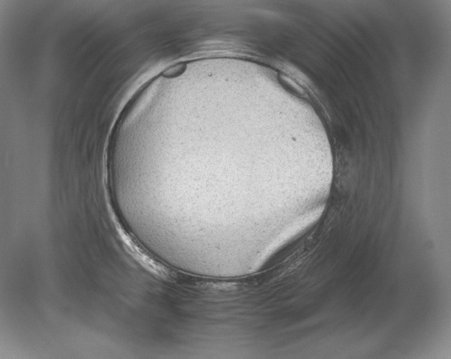 X0000078841431200612041828