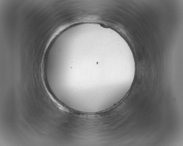 X0000078841432200612041828