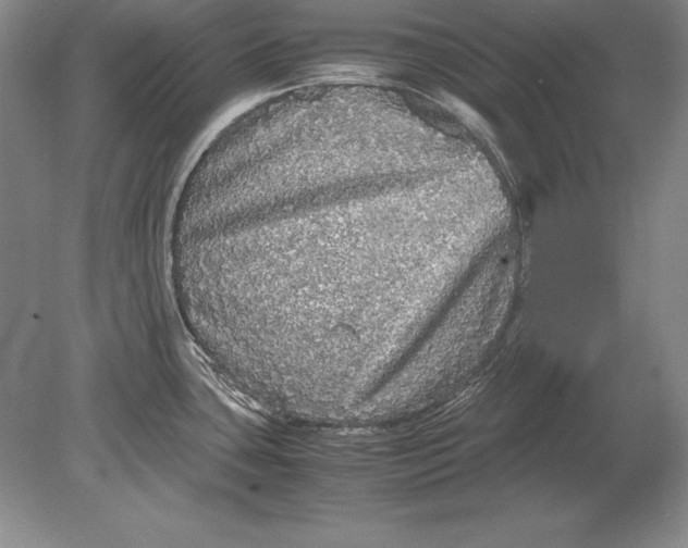 X0000078841435200612041828