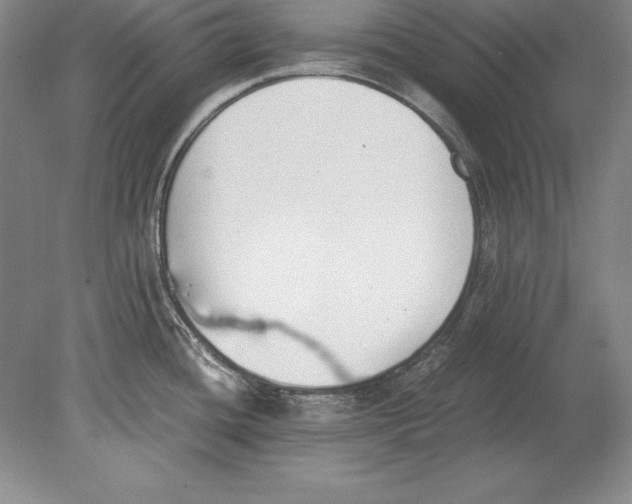 X0000078841436200612041828