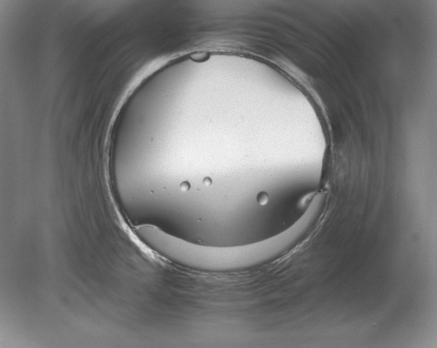 X0000078841437200612041828