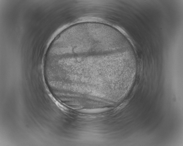 X0000078841438200612041828