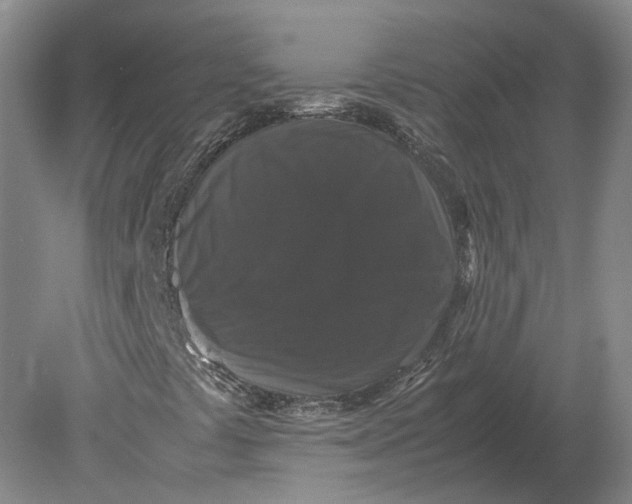 X0000078841441200612041827